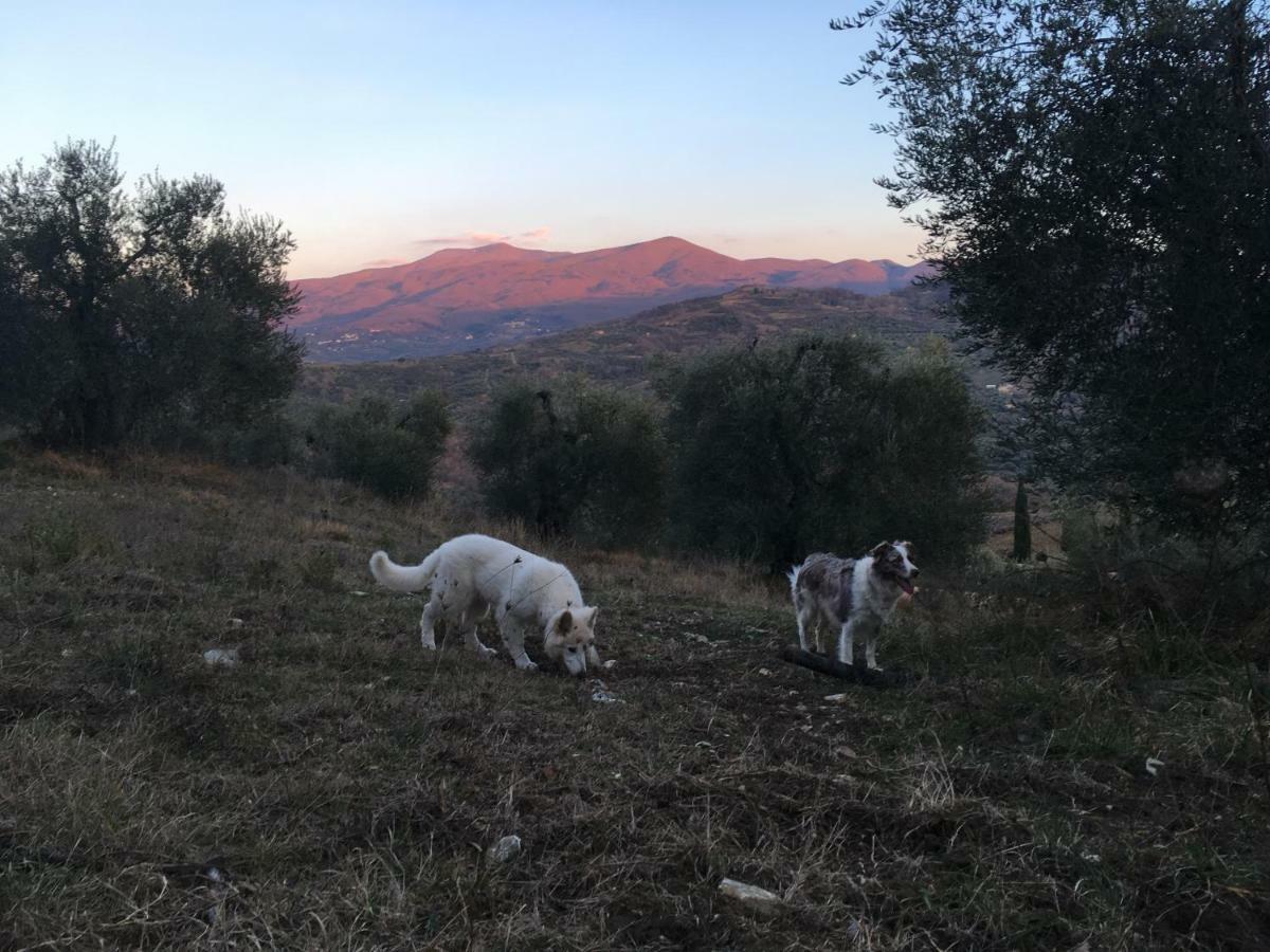 La Banditaccia Monticello Amiata Kültér fotó
