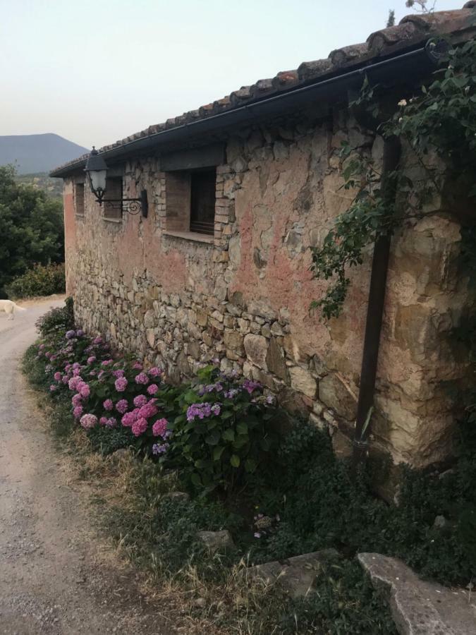 La Banditaccia Monticello Amiata Kültér fotó