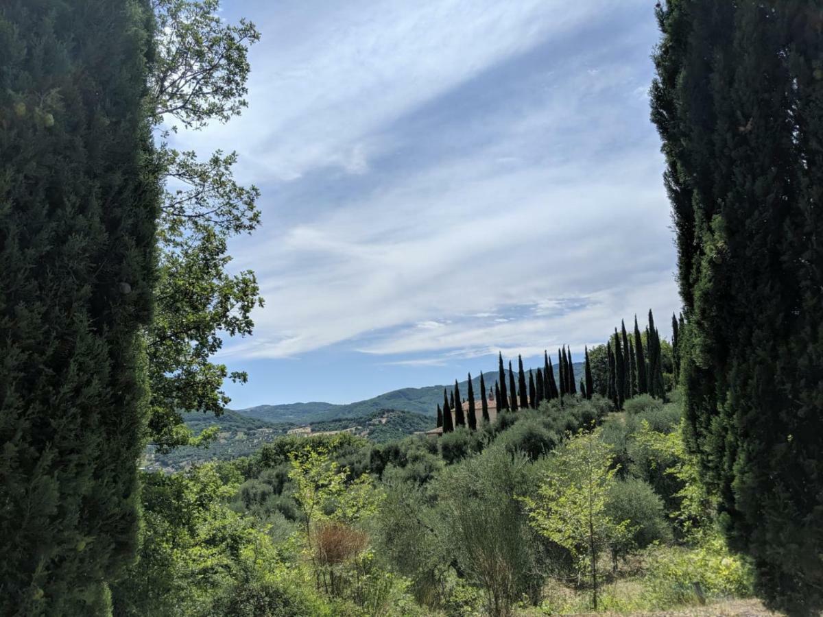 La Banditaccia Monticello Amiata Kültér fotó